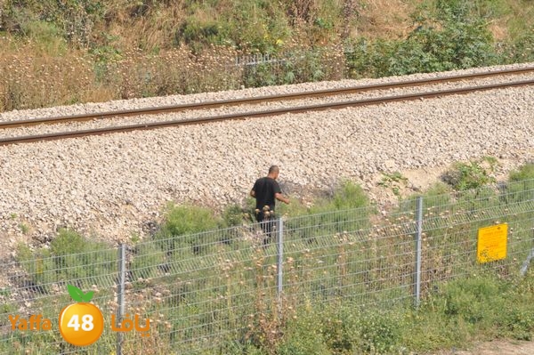 firecartoonsecnd506 (30).JPG